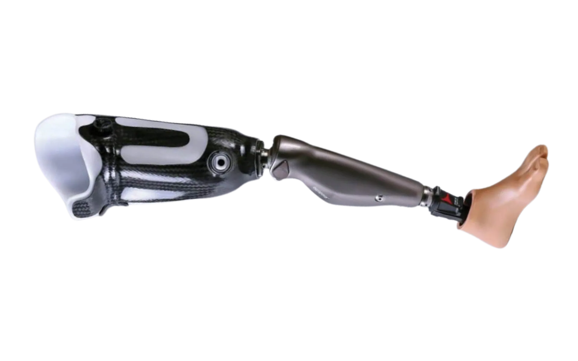 Upper & Lower Limb Prosthetics
